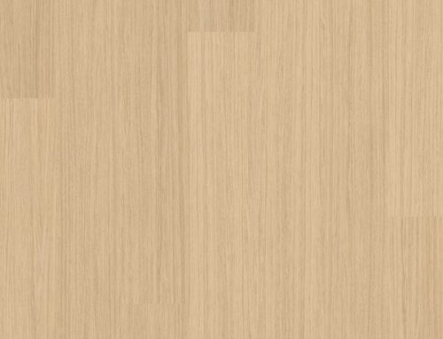 CARVALHO SERENO